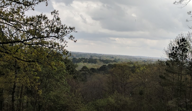 Palestine, TX