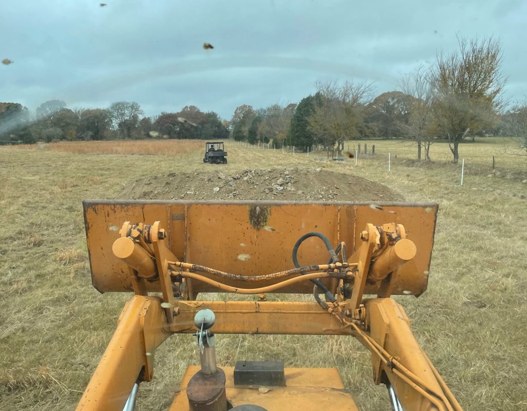 Wholistic Hills Land Management brush and tree removal
