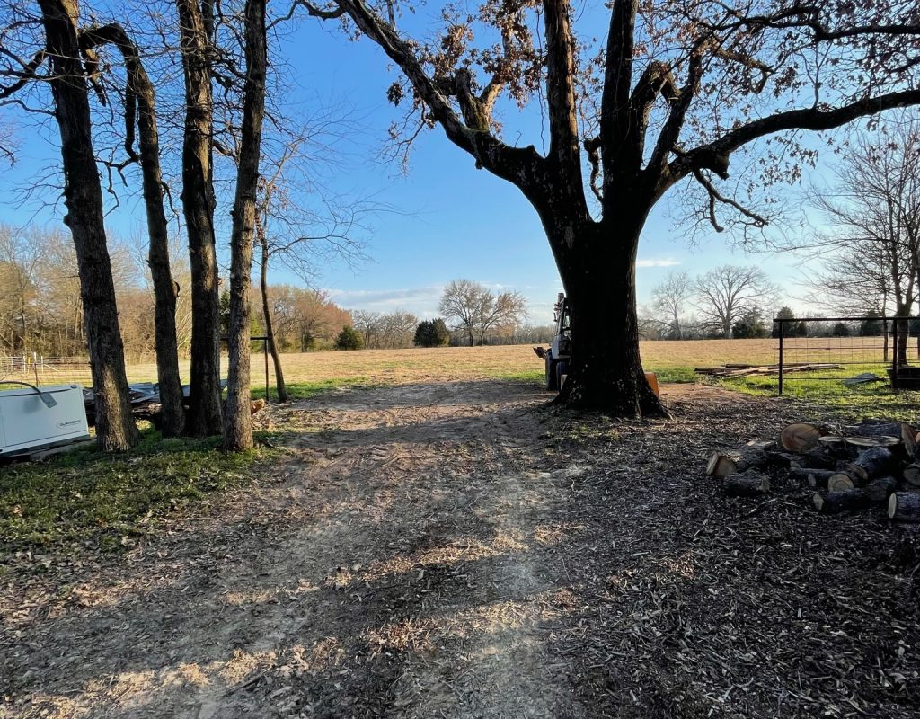 Wholistic Hills Land Management clearing brush in Corsicana, TX project