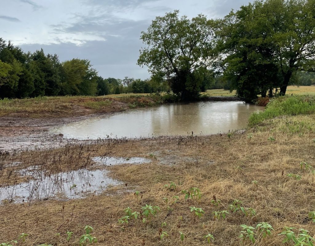 Land clearing team preparing Corsicana, TX property with equipment
