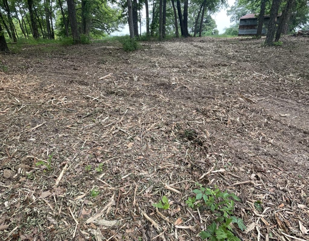 Wholistic Hills Land Management Forestry Mulching Picture